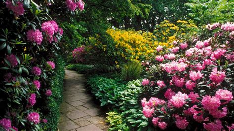 Free Download Beautiful Flower Garden Flower Forest Cool Wallpapers