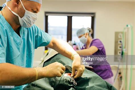 Castrated Man Stockfotos En Beelden Getty Images