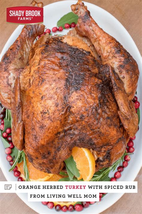 Orange Herbed Turkey With Spiced Rub — Shady Brook Farms® Citrus Flavors Are In For Thanksgiving