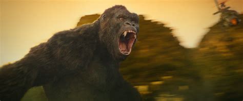 Godzilla Vs Kong Filming Begins Synopsis And Cast Revealed Collider