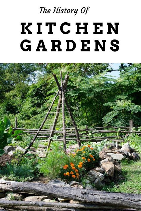Kitchen Garden History Learn About The History Of Kitchen Gardens