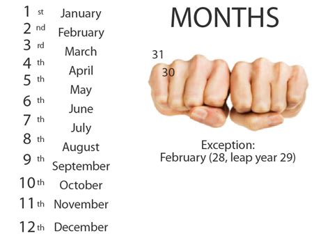 Even and odd months are evenly split in one year. Months of the Year - Flash interactive that covers month ...