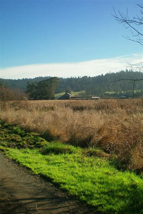 Wetland Walkhumboldt Bay National Wildlife Refuge Redheaded Blackbelt