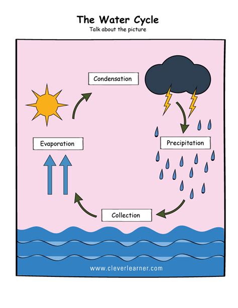 The Water Cycle By Ms Samantha Rubin Lessons Blendspace