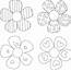 Paper Flower Cut Out Templates Jpg Freeuse Download  Print To