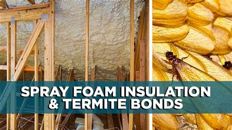 The most trusted insulation provider on the east coast. Ep 14. How Spray Foam Insulation Limits Termite Bonds - YouTube