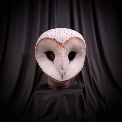 Barn Owl Ts Barn Owl Art Barn Owl Mask Custom Mask Owl Etsy