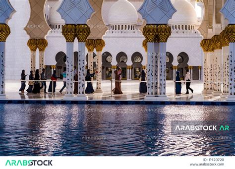 مسجد الشيخ زايد الكبير في وضح النهار، الفنون و التصاميم الهندسية المعمارية للمنشآت والمباني