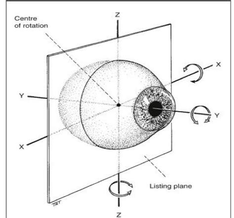 Extraocular Eye Movement Flashcards Quizlet