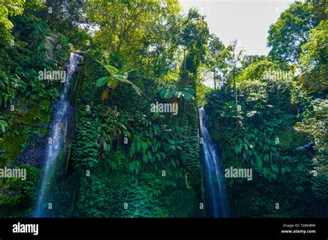 Air Terjun Benang Kelambu Waterfall On The Island Lombok Indonesia