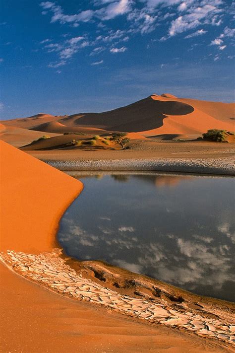 Nature Desert Oasis In Libya Ipad Iphone Hd Wallpaper Free