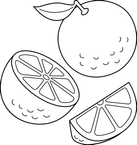 Página Para Colorear Aislada De Frutas Naranjas Para Niños 11487092