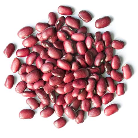 adzuki beans buy in bulk from food to live