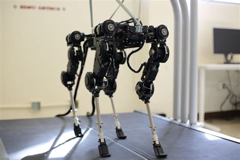 Is Robotics Engineering Available In Iit Bombanegeri