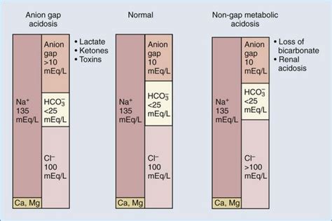 Normal anion gap (hyperchloraemic) metabolic acidosis. Metabolic Acidosis and Alkalosis | Anesthesia Key