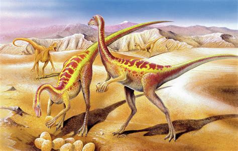 Illustration Of Anserimimus By Nest Photograph By Deagostiniuig