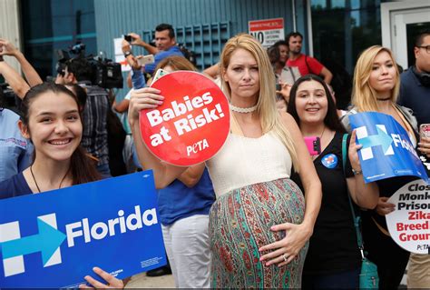 Zika In Florida Update Dozens Of Pregnant Women Have Virus Amid