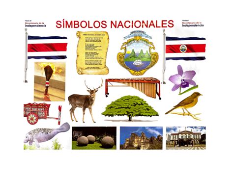 top 111 imagenes de los simbolos nacionales de costa rica mx