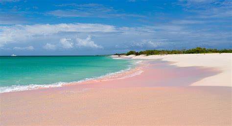 The Pink Sand Beach On Harbour Island Bahamas She Is Wanderlust