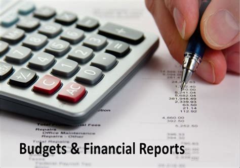 Budgets And Financial Reports Dexnova Consulting Limited