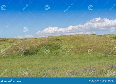 Yellow Green Hill And Sky With Clouds Wild Grasses Stock Photo Image