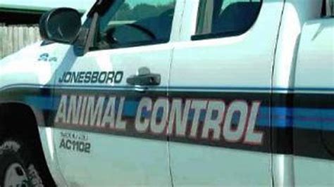 Slideshow Found And Adoptable Pets At Jonesboro Animal Control