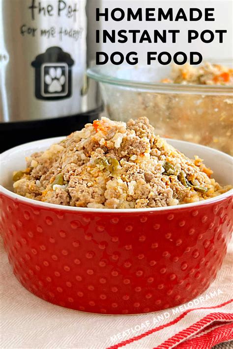 Homemade Instant Pot Dog Food Meatloaf And Melodrama