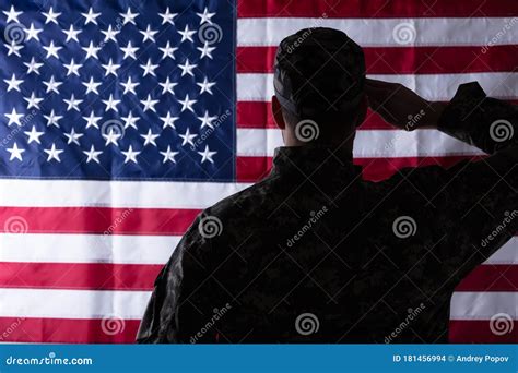Military Man Saluting Us Flag Stock Photo Image Of Saluting National