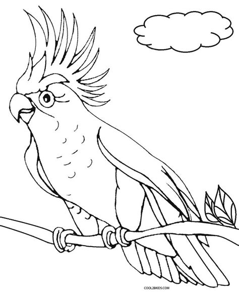 Printable Parrot Coloring Pages Printable Word Searches