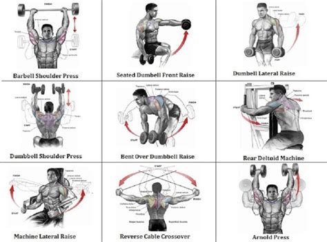 5 Best Shoulder Exercises that Can Turn You into Beast