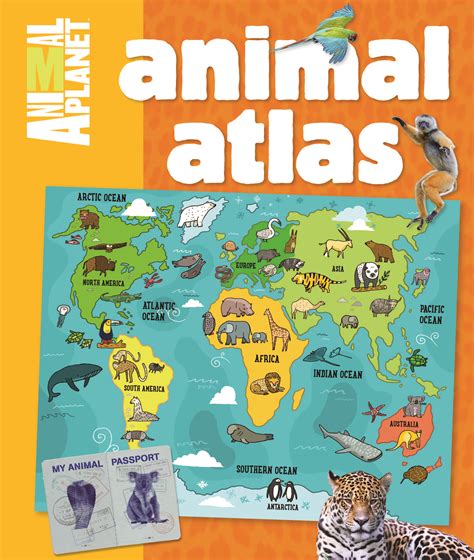 Animal Planet Animal Atlas Discovery Kids