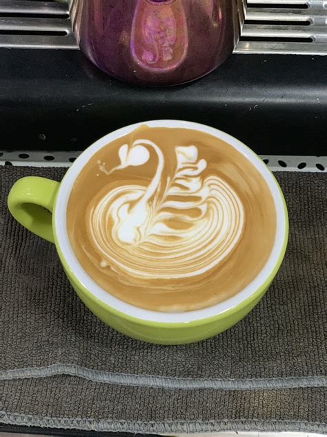 Working On My Swan Latte Art 16th Jan Respresso