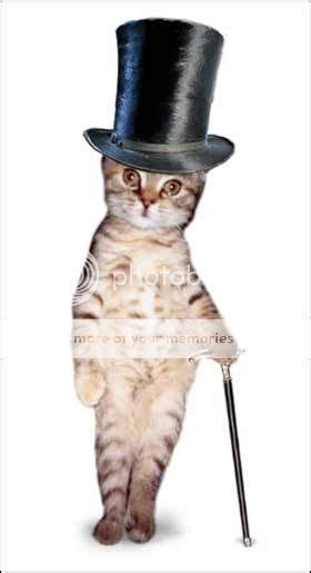 Cat In A Top Hat Lacking In Clothes And The Silly Smile It Carries