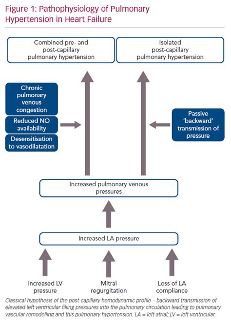 Pathophysiology Of Pulmonary Hypertension In Heart Failure Radcliffe