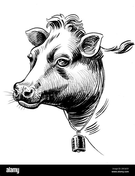 Cabeza De Vaca Dibujo En Blanco Y Negro Con Tinta Fotografía De Stock