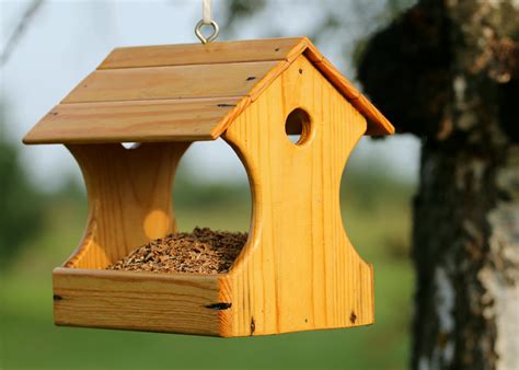 Brown Wooden Bird House Hanging on Tree · Free Stock Photo