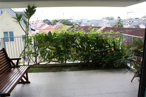 Privacy Plants For Balcony Balcony Plants Vertical Garden Indoor