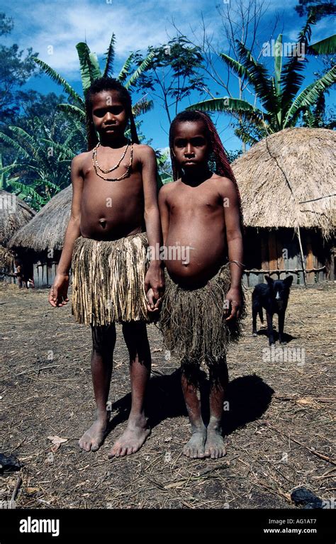 Geography Travel Indonesia People Dani Tribe Girls With Bast Stock