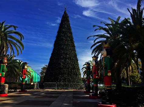 Lake Eola Orlando Location Photographs