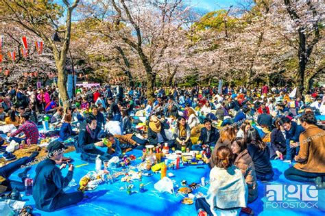 Japan Tokyo City Ueno District Ueno Park Celebrating Cherry