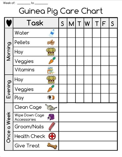 Your guinea pigs need a balanced diet that includes plenty of timothy hay, fresh water, and guinea pig pellets with added vitamin c in order to keep them healthy and content. Image result for printable rabbit care chart | Marsvin ...