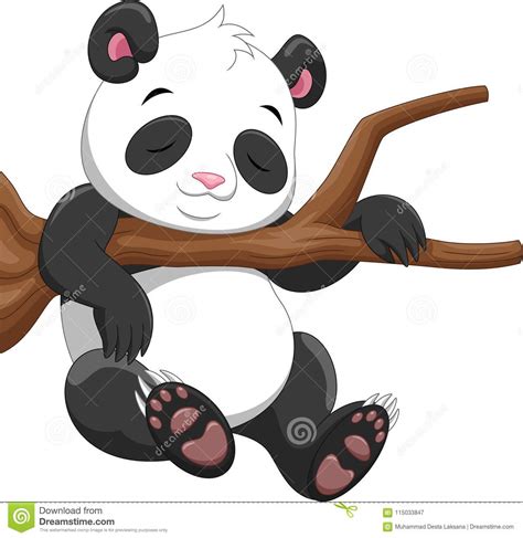 Cute Baby Panda Sleeping On A Branch Stock Illustration Illustration