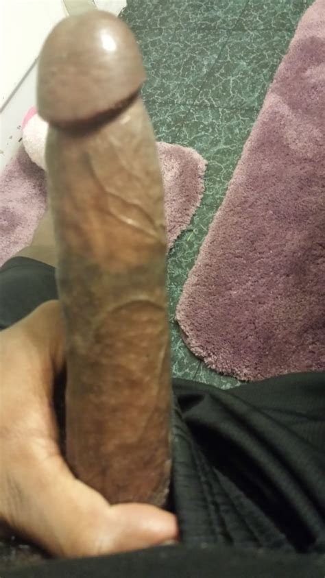 Young Hard Cock Photo Album By Cumsquirter19