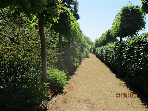 Johnson's family farms will be opening our fields at our hobart location for upick this summer! Event report