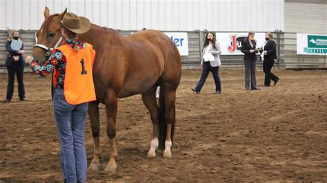 Horse Judging Team Reins In Success Amid Pandemic Nebraska Today
