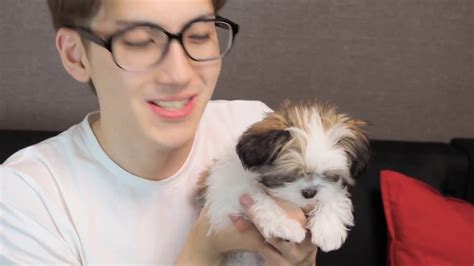 Meet Our New Puppy Youtube