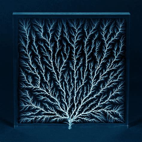 Electron Tree Or Lichtenberg Figure Photograph by Science Source