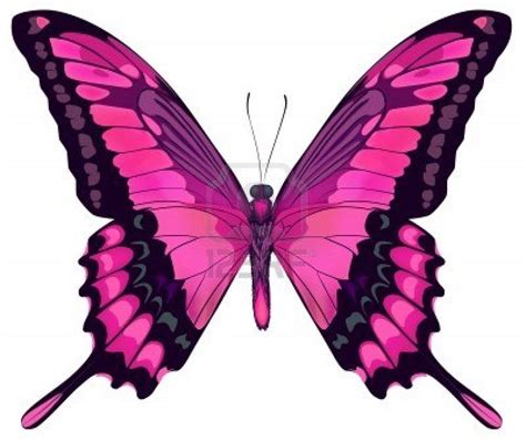 Dessin En Couleurs à Imprimer Animaux Insectes Papillon Numéro