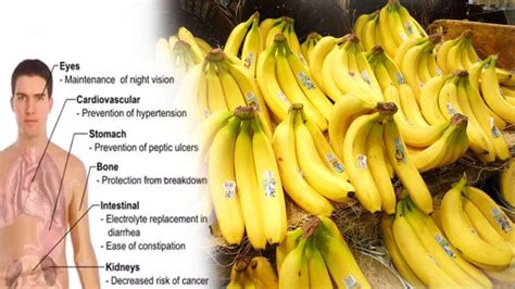 Health Benefits Of Bananas 20 Good Reasons To Eat 3 Daily