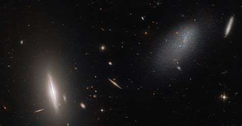 Hubble Snaps An Image Of Galaxies In Our Cosmic Backyard Digital Trends